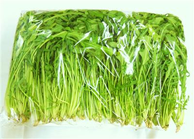 食楽ネット ﾌﾚｯｼｭ 国産 ﾙｯｺﾗ ｾﾙﾊﾞﾁｺ 500g